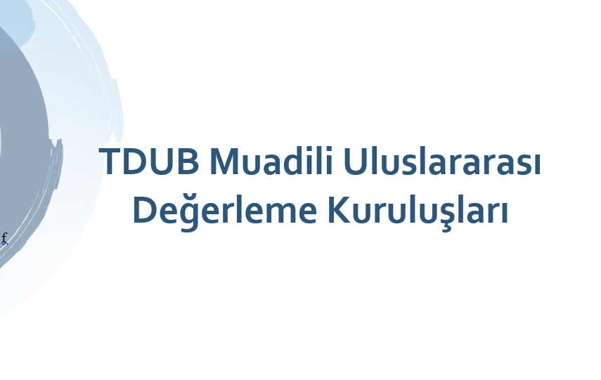 tdub değerleme kuruluşları